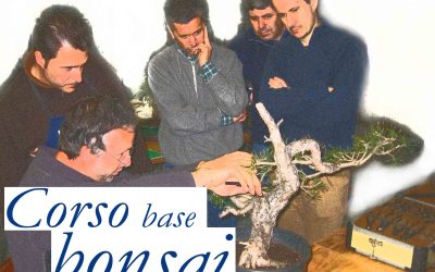 Programma Corso Bonsai 2019-2020