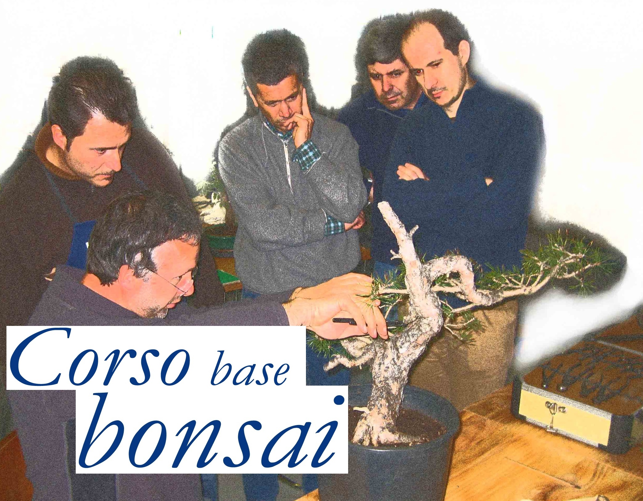 Corso Base per Sito