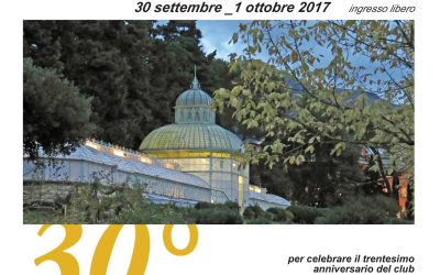 ArenzanoBonsai – Mostra del 30le