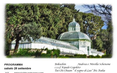 Arenzano Bonsai 2019